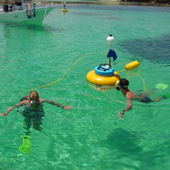 Playing at Rotto 600